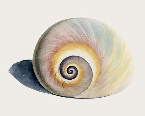 Spiraling I White Modern Wood Framed Art Print with Double Matting by Popp, Grace