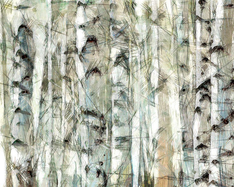 Birch Bunch I White Modern Wood Framed Art Print with Double Matting by Saunders, Alonzo
