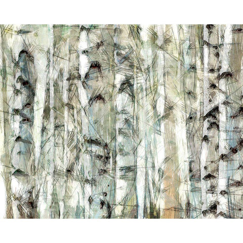 Birch Bunch I Black Modern Wood Framed Art Print by Saunders, Alonzo