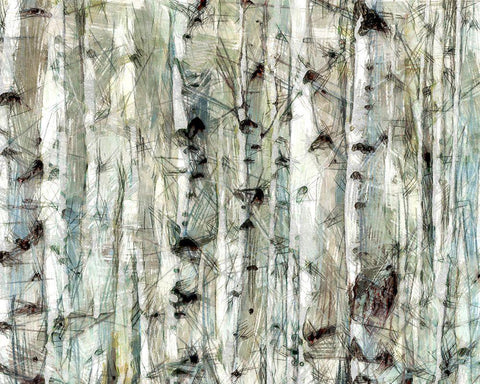 Birch Bunch II White Modern Wood Framed Art Print with Double Matting by Saunders, Alonzo