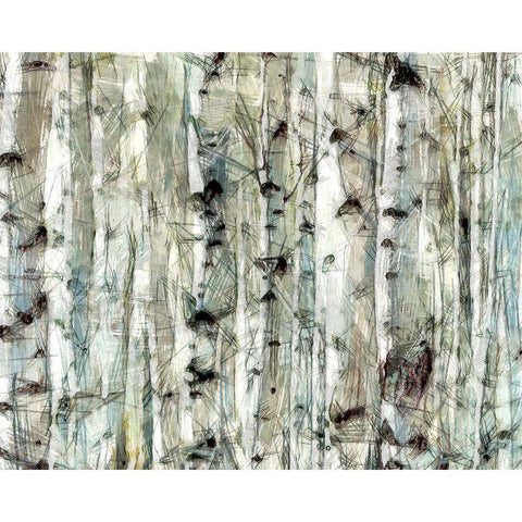 Birch Bunch II Black Modern Wood Framed Art Print by Saunders, Alonzo
