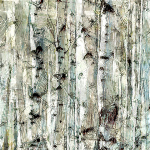 Birch Bunch IV Black Modern Wood Framed Art Print with Double Matting by Saunders, Alonzo