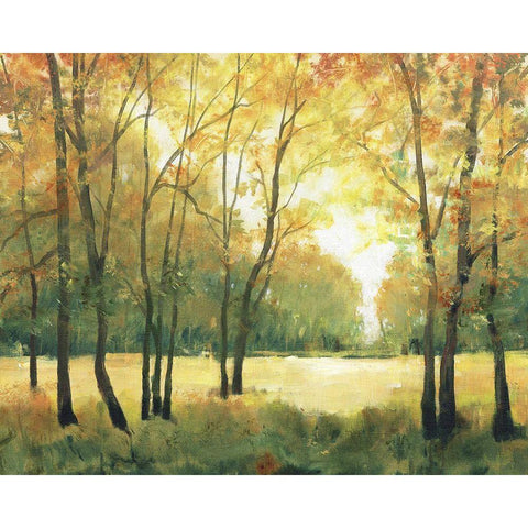 Fall Retreat II Gold Ornate Wood Framed Art Print with Double Matting by OToole, Tim