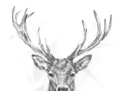 Well-Hello Dear I Black Ornate Wood Framed Art Print with Double Matting by Harper, Ethan