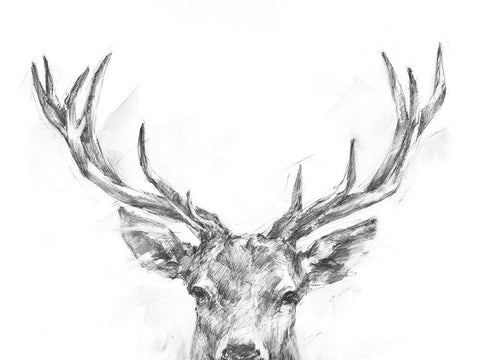 Well-Hello Dear II White Modern Wood Framed Art Print with Double Matting by Harper, Ethan