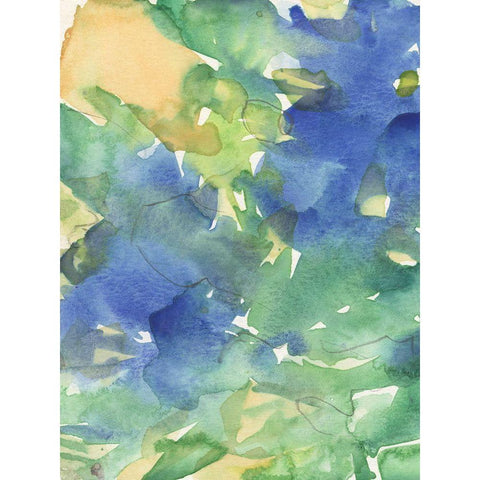 Fanciful Flora I Black Modern Wood Framed Art Print by Dixon, Samuel