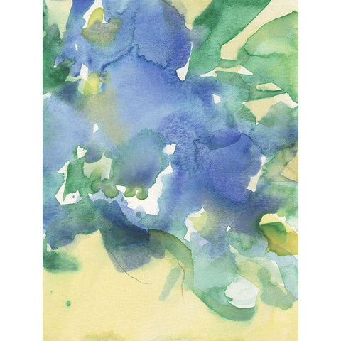 Fanciful Flora II Gold Ornate Wood Framed Art Print with Double Matting by Dixon, Samuel