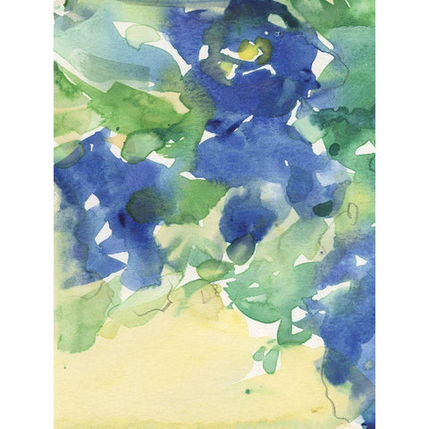 Fanciful Flora III White Modern Wood Framed Art Print by Dixon, Samuel