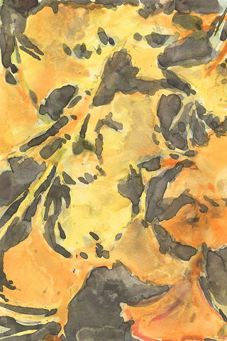 Ginkgo Leafing I White Modern Wood Framed Art Print with Double Matting by Dixon, Samuel