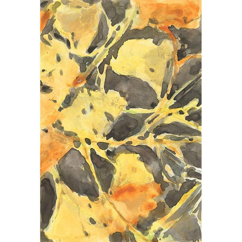 Ginkgo Leafing II Black Modern Wood Framed Art Print with Double Matting by Dixon, Samuel