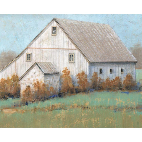 Rustic Barn I Gold Ornate Wood Framed Art Print with Double Matting by OToole, Tim