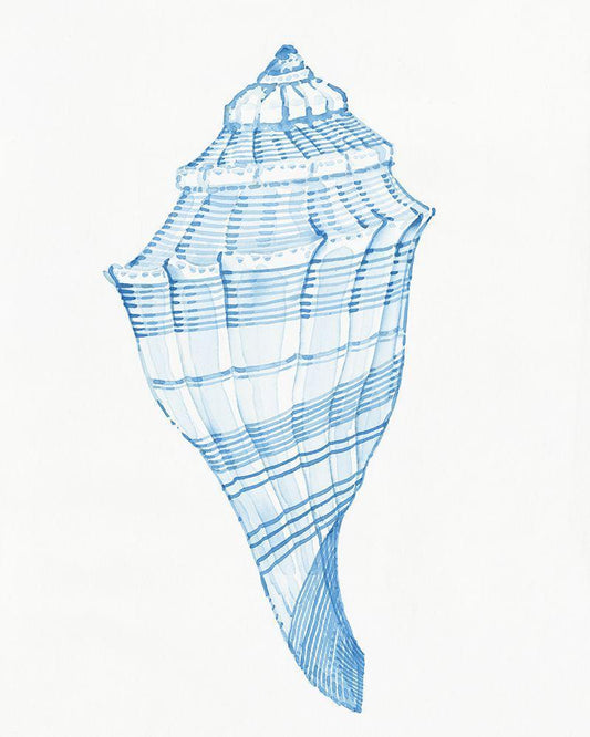 Image Only
