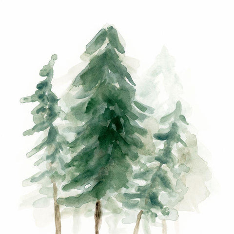 Evergreen Grove I Black Modern Wood Framed Art Print by Vess, June Erica