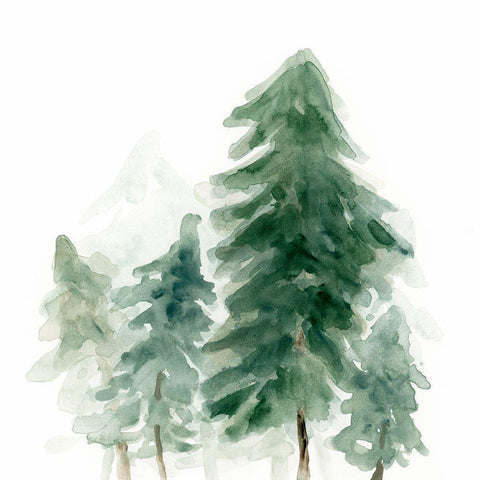 Evergreen Grove II White Modern Wood Framed Art Print by Vess, June Erica