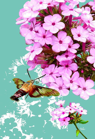 Clearwing On Flox White Modern Wood Framed Art Print with Double Matting by Evelia Designs