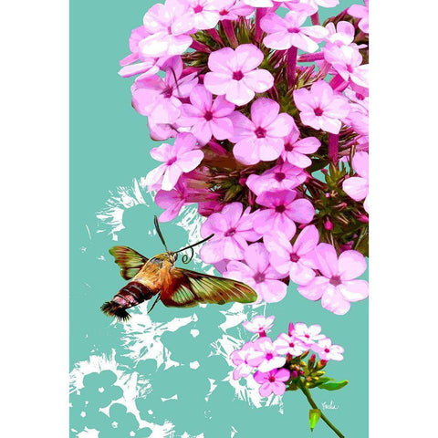 Clearwing On Flox White Modern Wood Framed Art Print by Evelia Designs
