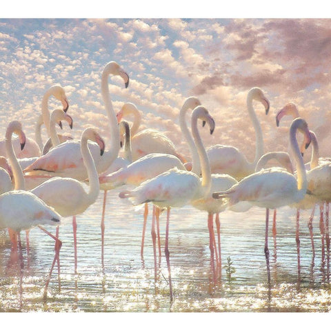 Quiet Wave of Pink Gold Ornate Wood Framed Art Print with Double Matting by Hunziker, Steve