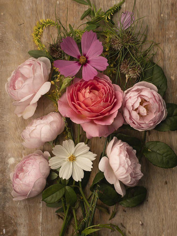 Rosy Posy White Modern Wood Framed Art Print with Double Matting by McLean, Leah