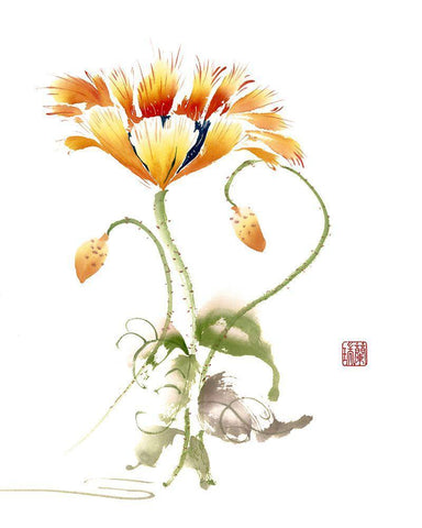 Following White Modern Wood Framed Art Print with Double Matting by Rae, Nan