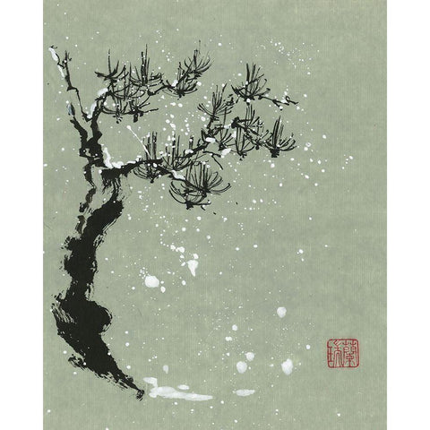 Snowy Pine I Black Modern Wood Framed Art Print with Double Matting by Rae, Nan