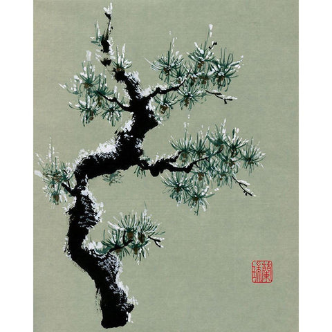 Snowy Pine II Black Modern Wood Framed Art Print with Double Matting by Rae, Nan