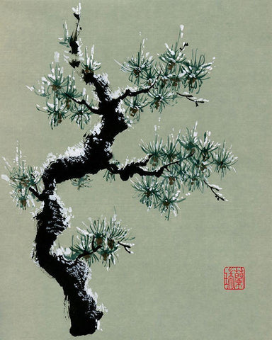 Snowy Pine II Black Ornate Wood Framed Art Print with Double Matting by Rae, Nan