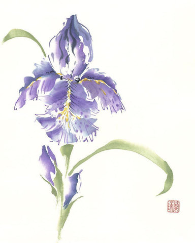 Reigning Prince White Modern Wood Framed Art Print with Double Matting by Rae, Nan