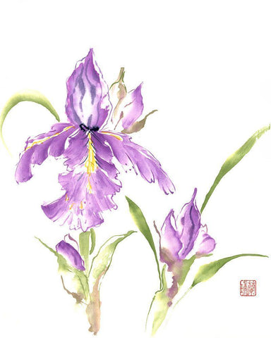 Circle of Life White Modern Wood Framed Art Print with Double Matting by Rae, Nan