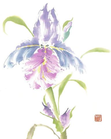 Natures Grace White Modern Wood Framed Art Print with Double Matting by Rae, Nan