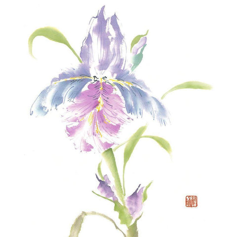 Natures Grace Gold Ornate Wood Framed Art Print with Double Matting by Rae, Nan