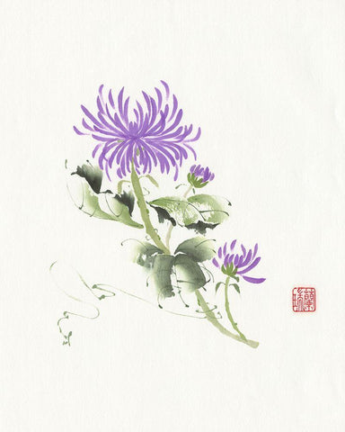 One of Four I White Modern Wood Framed Art Print with Double Matting by Rae, Nan