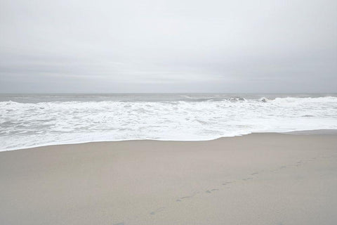 November Beach II White Modern Wood Framed Art Print with Double Matting by Chandler, Sharon