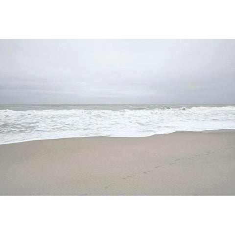 November Beach II White Modern Wood Framed Art Print by Chandler, Sharon