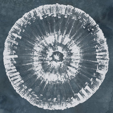 Batik Bullseye IV Gold Ornate Wood Framed Art Print with Double Matting by Vess, June Erica