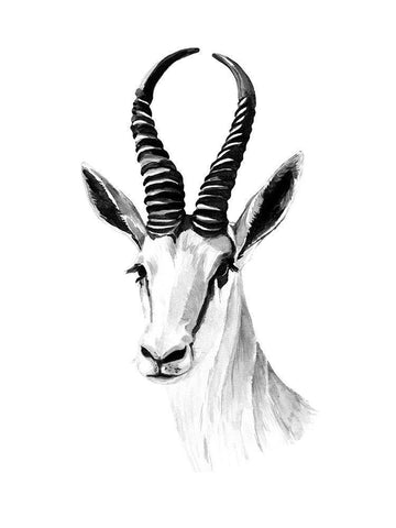 Gazelle Sketch I White Modern Wood Framed Art Print with Double Matting by Warren, Annie