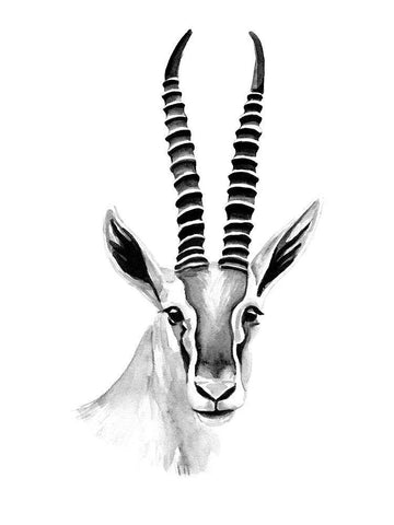 Gazelle Sketch II White Modern Wood Framed Art Print with Double Matting by Warren, Annie