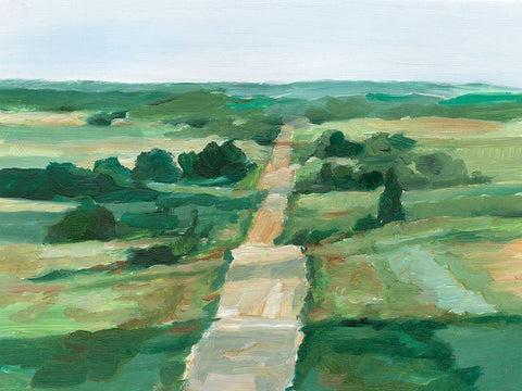 Rural Route II Black Ornate Wood Framed Art Print with Double Matting by Harper, Ethan