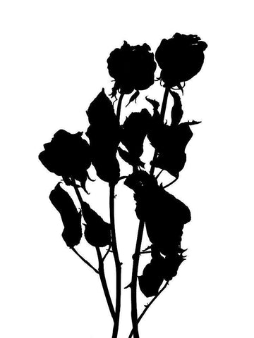 Pressed Memory I White Modern Wood Framed Art Print with Double Matting by Green, Jacob