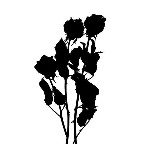 Pressed Memory I Black Modern Wood Framed Art Print with Double Matting by Green, Jacob