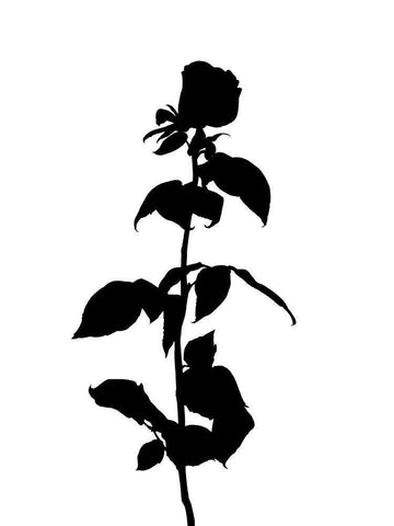 Pressed Memory II White Modern Wood Framed Art Print with Double Matting by Green, Jacob