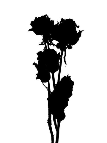 Pressed Memory III Black Ornate Wood Framed Art Print with Double Matting by Green, Jacob