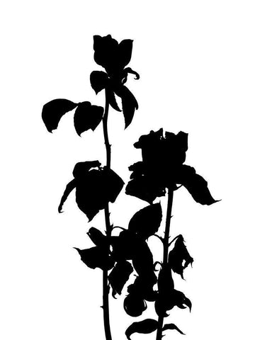 Pressed Memory IV Black Ornate Wood Framed Art Print with Double Matting by Green, Jacob