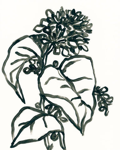 Linear Floral I Black Ornate Wood Framed Art Print with Double Matting by Vess, June Erica