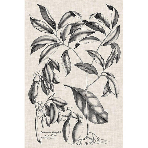 Custom Black And Oatmeal Linen Botanical I Black Modern Wood Framed Art Print with Double Matting by Vision Studio