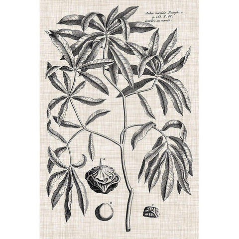 Custom Black And Oatmeal Linen Botanical V White Modern Wood Framed Art Print by Vision Studio