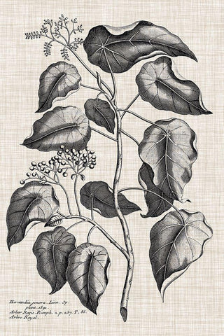 Custom Black And Oatmeal Linen Botanical VIII Black Ornate Wood Framed Art Print with Double Matting by Vision Studio