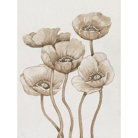 Poppies in Sepia I Gold Ornate Wood Framed Art Print with Double Matting by OToole, Tim