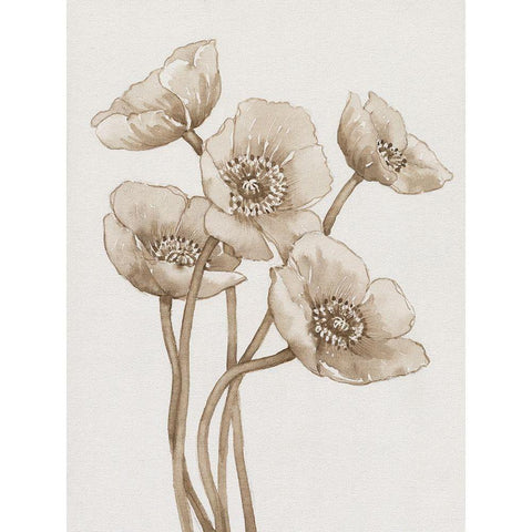 Poppies in Sepia II Gold Ornate Wood Framed Art Print with Double Matting by OToole, Tim