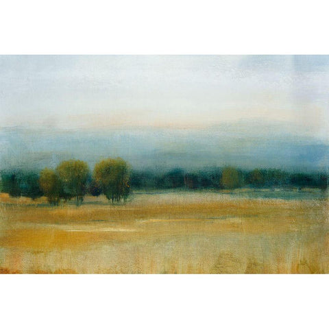 Tranquil Morning I White Modern Wood Framed Art Print by OToole, Tim