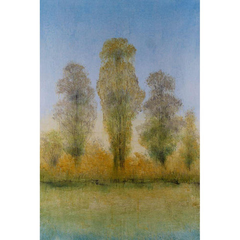 Gilded Trees I Black Modern Wood Framed Art Print with Double Matting by OToole, Tim